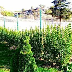 bahçe tel çit fiyatları gebze