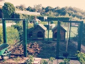 Büyük Bahçeler İçin Tel Köpek Kulübeleri