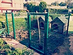 Büyük Bahçe Tel Örgü Köpek Kafesleri