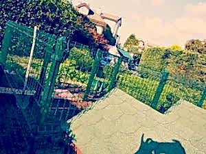 Köpekler İçin Tel Çit Kafes