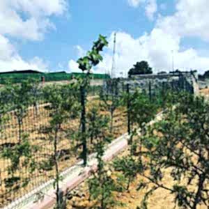 panel çit boyutları